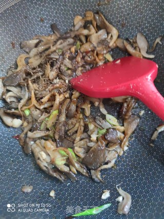 孜然平菇的做法步骤：9