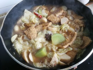 酥肉一锅炖的做法步骤：11