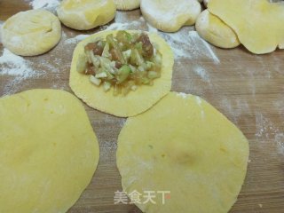 南瓜白菜猪肉粉条包的做法步骤：11