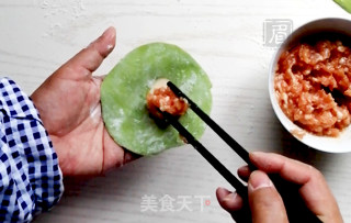 花式饺子——象形白菜饺的做法步骤：6