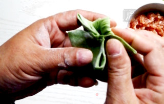 花式饺子——象形白菜饺的做法步骤：10