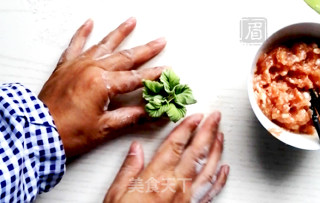 花式饺子——象形白菜饺的做法步骤：12