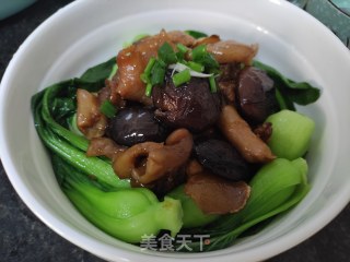 花胶冬菇焖鸡的做法步骤：12