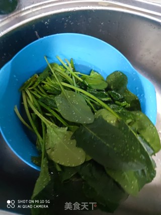 菠菜鸡蛋的做法步骤：1