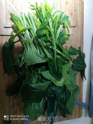 菠菜鸡蛋的做法步骤：2