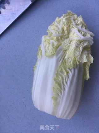 鸽胸肉拌白菜的做法步骤：4