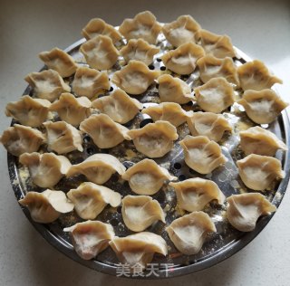 萝卜牛肉馅饺子的做法步骤：20