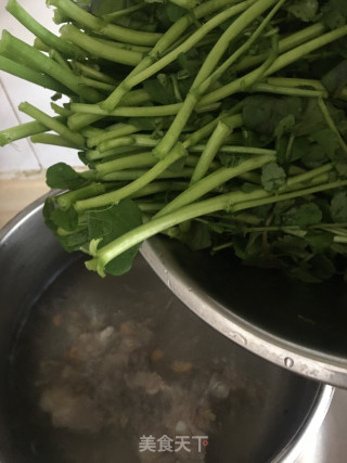 西洋菜排骨汤的做法步骤：6