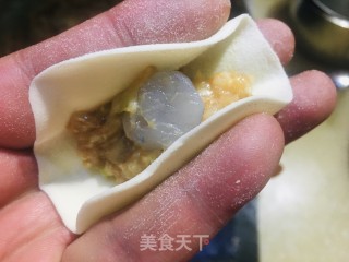 鲜虾白菜水饺的做法步骤：6