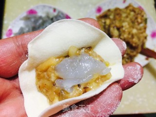 鲜虾白菜水饺的做法步骤：7