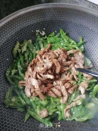 辣椒炒肉的做法步骤：4