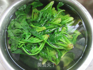 咸鸭蛋炒菠菜的做法步骤：4