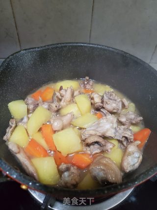 土豆炖鸡块的做法步骤：10