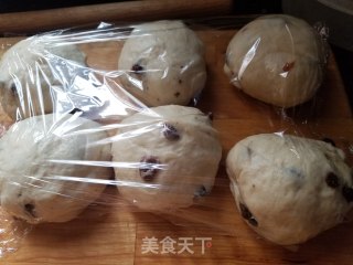 波兰种葡萄干吐司的做法步骤：9