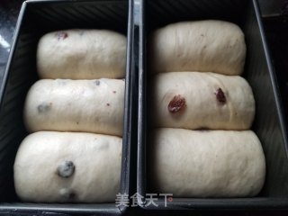 波兰种葡萄干吐司的做法步骤：15