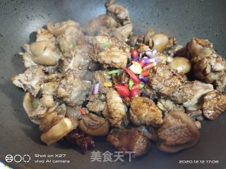 炖羊肉的做法步骤：6