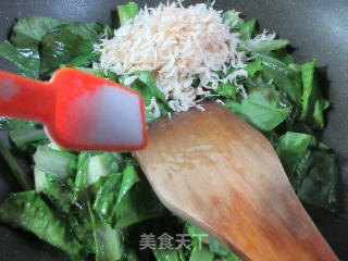 虾皮炒油麦菜的做法步骤：5
