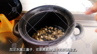 萝卜花生黑鱼汤的做法步骤：3