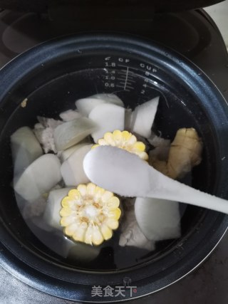 萝卜炖骨头汤的做法步骤：7