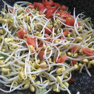 番茄炖黄豆芽的做法步骤：8