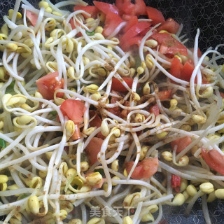 番茄炖黄豆芽的做法步骤：9