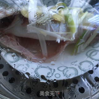 豆豉蒸鲈鱼的做法步骤：4