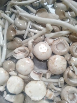 砂锅三菇炖鸡的做法步骤：4