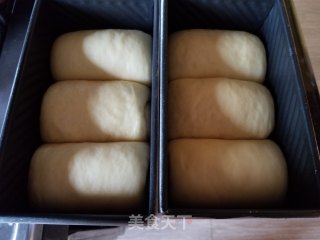 香葱肉松吐司的做法步骤：13