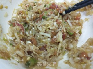 白萝卜猪肉饺子的做法步骤：7