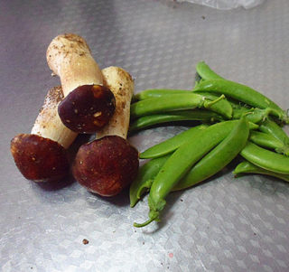 松茸甜豆的做法步骤：1