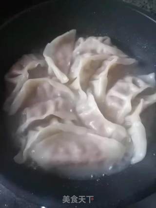 白萝卜猪肉煎饺的做法步骤：5