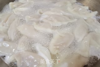 快手牛肉胡萝卜白菜水饺的做法步骤：8