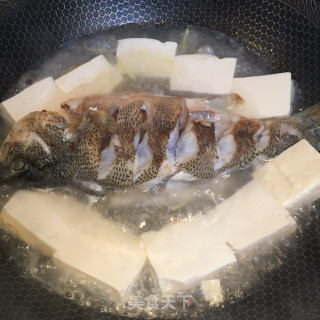 鲈鱼炖豆腐的做法步骤：5