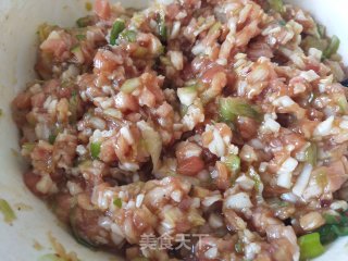 肉馅饺子的做法步骤：4