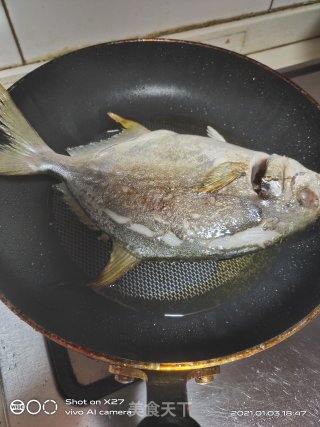 炖鲳鱼的做法步骤：2