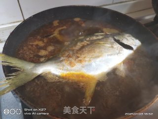 炖鲳鱼的做法步骤：5
