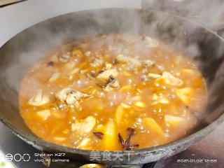 土豆炖鸡肉的做法步骤：10