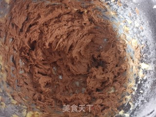 巧克力曲奇的做法步骤：4