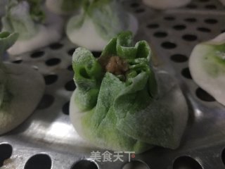 马肉烧麦的做法步骤：10
