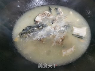 黑鱼平菇汤的做法步骤：3