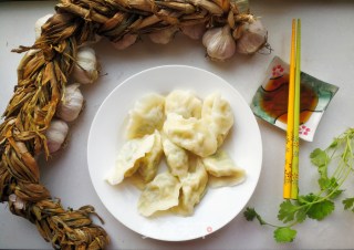 西瓜皮鸡蛋饺子的做法步骤：7