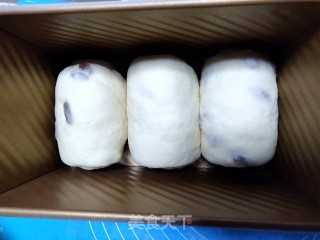 葡萄干吐司面包的做法步骤：10