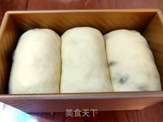 葡萄干吐司面包的做法步骤：11