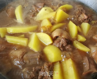 铁锅炖大鹅的做法步骤：7