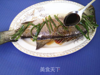 清蒸鲈鱼的做法步骤：7