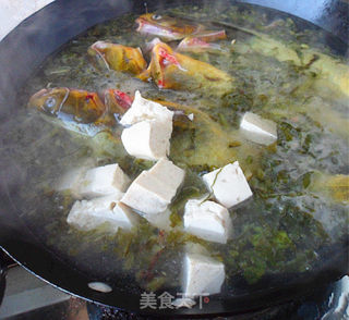 嘎鱼雪菜豆腐的做法步骤：6