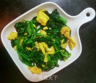 菠菜炒鸡蛋的做法步骤：14
