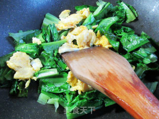 鸡蛋炒油麦菜的做法步骤：7