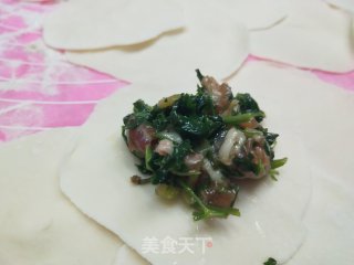 冻山芹菜猪肉馅水饺的做法步骤：6