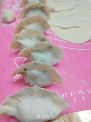 冻山芹菜猪肉馅水饺的做法步骤：7